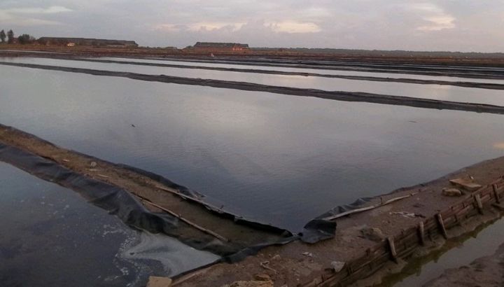 Tambak digunakan untuk budidaya ikan dan udang, menjadi penopang ekonomi warga.